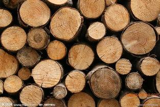 导演木头资料,光影艺术与心灵探索的引领者