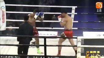 搞笑拳击出处,搞笑拳击的欢乐盛宴