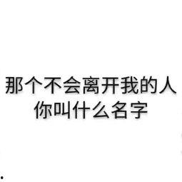 歪歪表白背景音乐,浪漫旋律下的深情告白