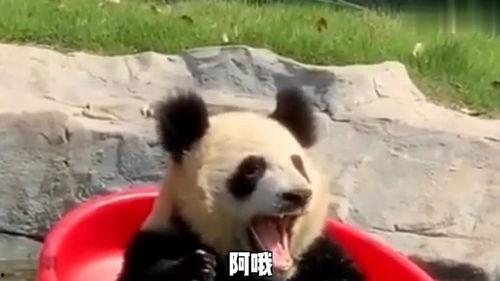 搞笑视频着火了