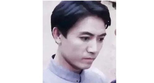 李幼斌年轻照片,风华正茂的帅气影帝